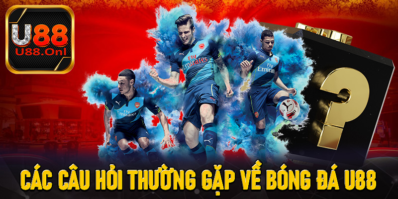 Các câu hỏi thường gặp